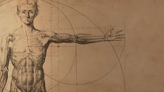 Ovih 16 organa ljudi imaju, a nisu im potrebni: Evo čemu su služili na&scaron;im precima