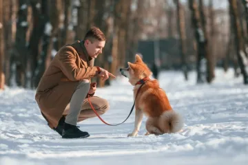 Dreser otkrio trik kako smiriti psa u nekoliko sekundi: 'Ovo ima supermoć'