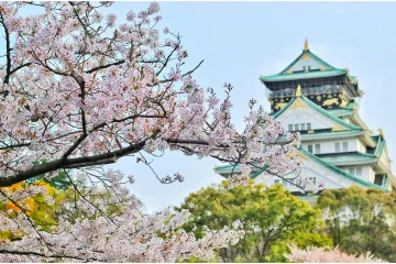 Turisti ovu zemlju ocijenili kao najbolju na svijetu: 'I uz gužve, mirno je i spokojno'