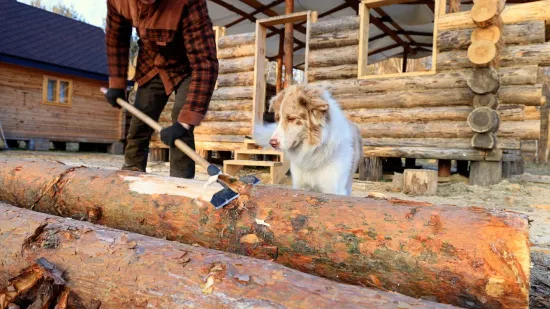 Sam samcat gradi kuću od nule, dosad je potro&scaron;io manje od 4 tisuće eura i stvorio ne&scaron;to predivno
