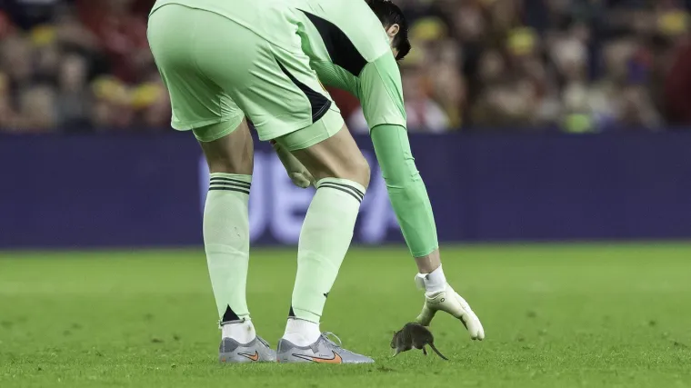 Nepozvani gost na utakmici Belgije i Walesa: Pogledajte kako je &scaron;takor nasamario Realovu zvijezdu