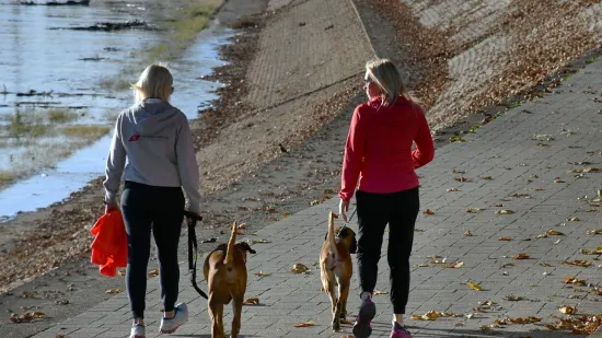 Dvije plavu&scaron;e privukle sve poglede u opu&scaron;tenoj &scaron;etnji uz Savu: Pogledajte atmosferu
