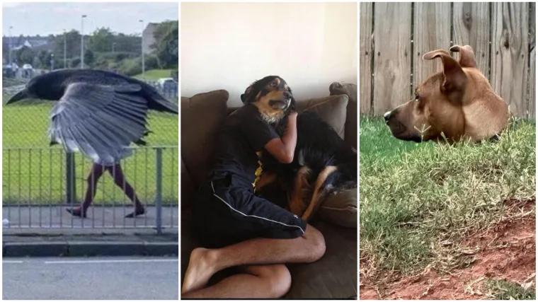 Ove fotografije će vam pomutiti pamet: Možete li shvatiti &scaron;to se na njima nalazi?