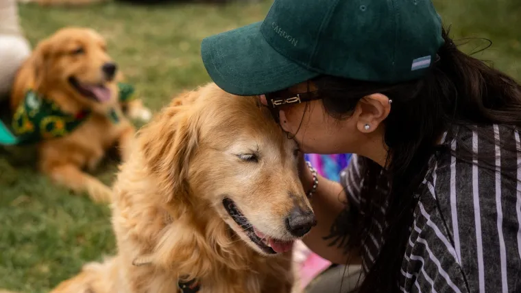 Nevjerojatno! Vi&scaron;e od 1.800 zlatnih retrivera sru&scaron;ilo rekord i osvojilo srca diljem svijeta