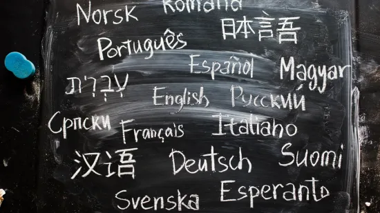 Genijalci sigurno mogu prepoznati europski jezik po samo jednoj riječi