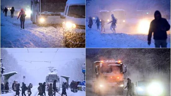 Snijeg paralizirao cijelu zemlju: 200.000 kućanstava ostalo bez struje, promet u totalnom kaosu