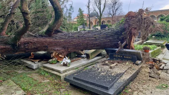 Mirogoj poharalo nevrijeme: O&scaron;tećen grob legendarnog trenera, stabla padala i na anđele