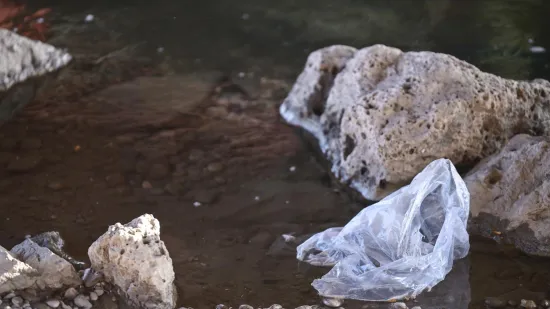 Policija potvrdila: Lubanja je izložbeni primjerak, ovo je mjesto gdje je pronađena